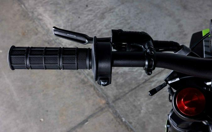 2025 Rawrr 72V Mantis Mini R17