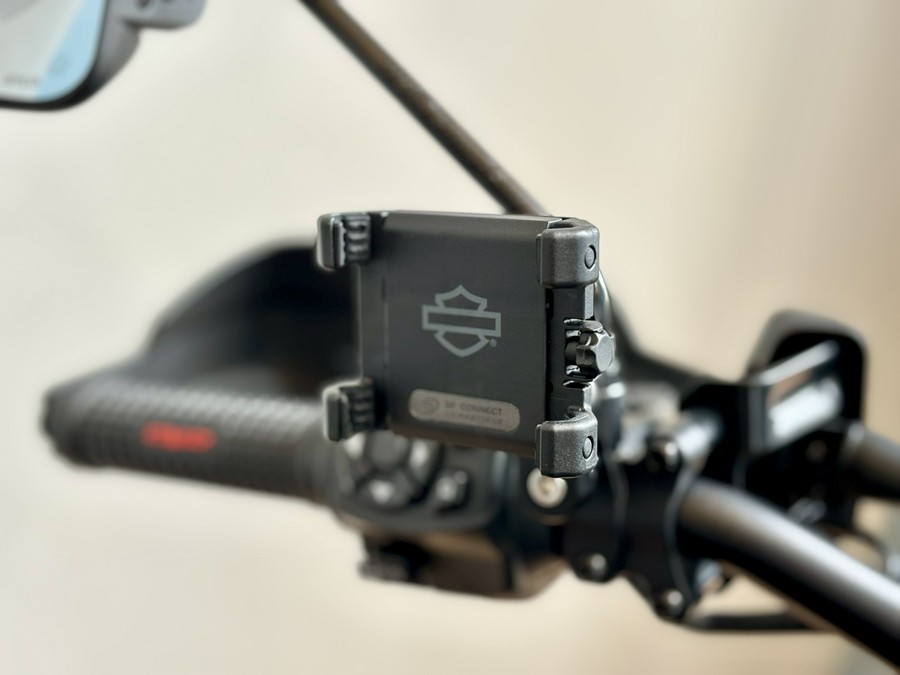 2025 Harley-Davidson CVO™ Pan America®