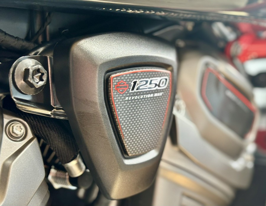 2025 Harley-Davidson CVO™ Pan America®