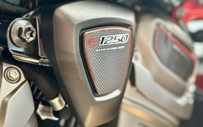 2025 Harley-Davidson CVO™ Pan America®