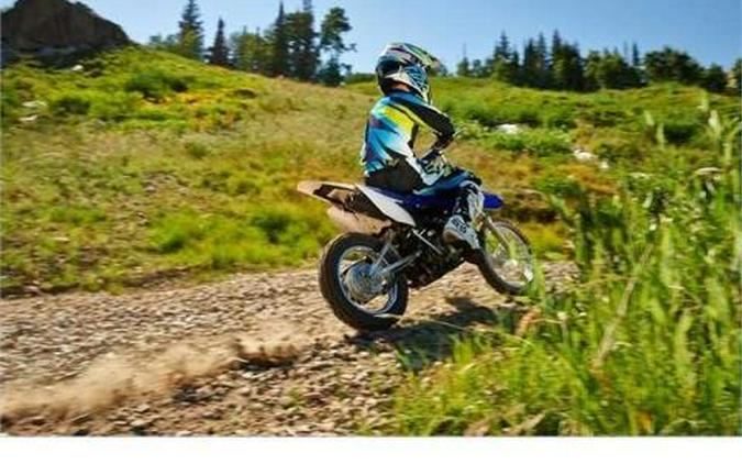 2014 Yamaha TT-R110E