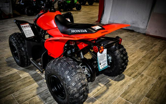 2024 Honda TRX90X