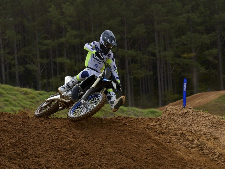 2027 Yamaha YZ250 Monster Energy Edition