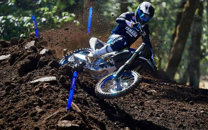 2025 Yamaha YZ450F Monster Energy Edition