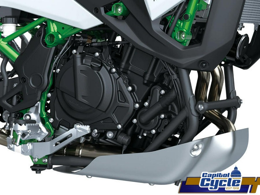 2026 Kawasaki KLE®500 SE ABS