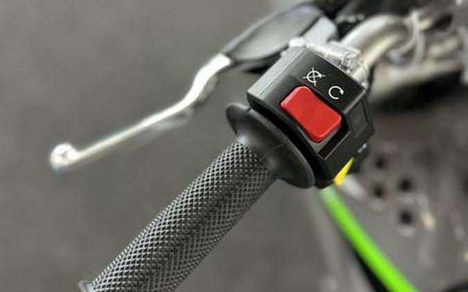 2025 Kawasaki KLX®110R L