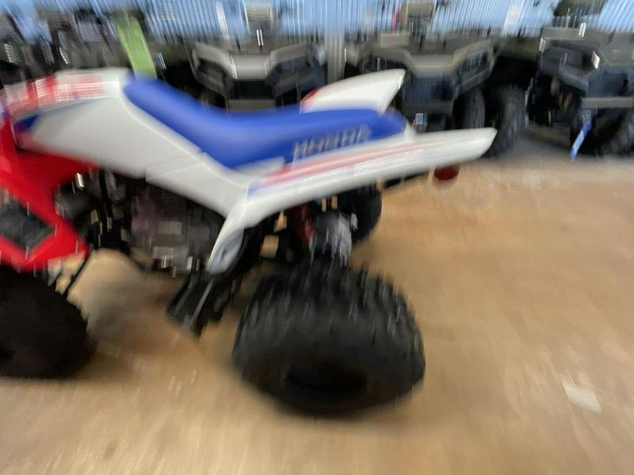 2026 Honda® TRX250X