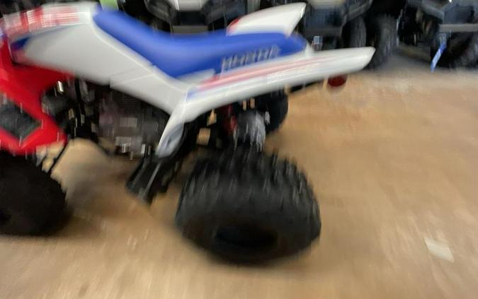 2026 Honda® TRX250X