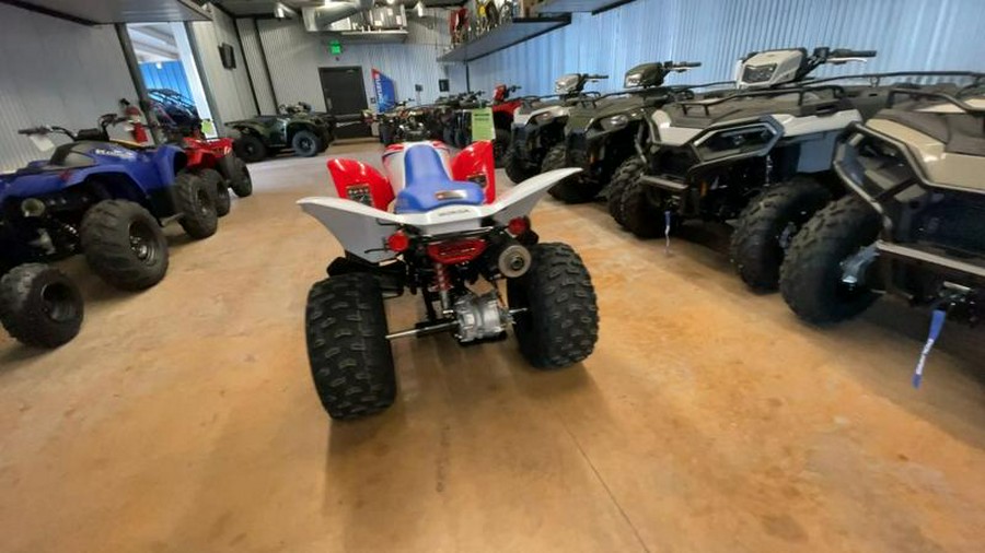 2026 Honda® TRX250X