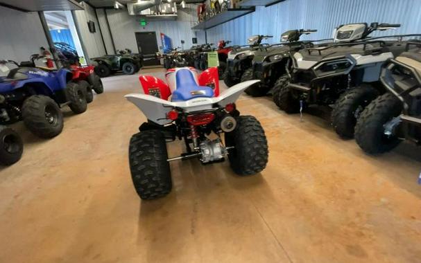 2026 Honda® TRX250X