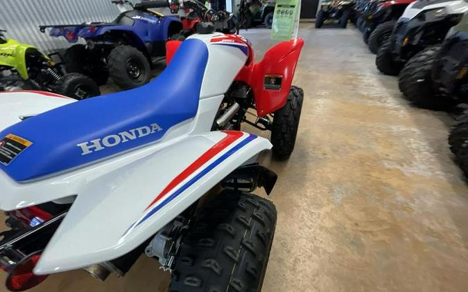 2026 Honda® TRX250X