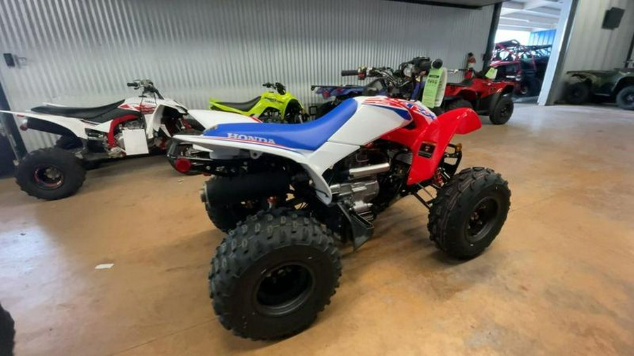 2026 Honda® TRX250X