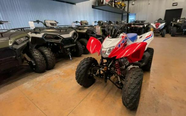 2026 Honda® TRX250X