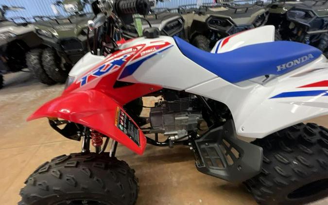 2026 Honda® TRX250X