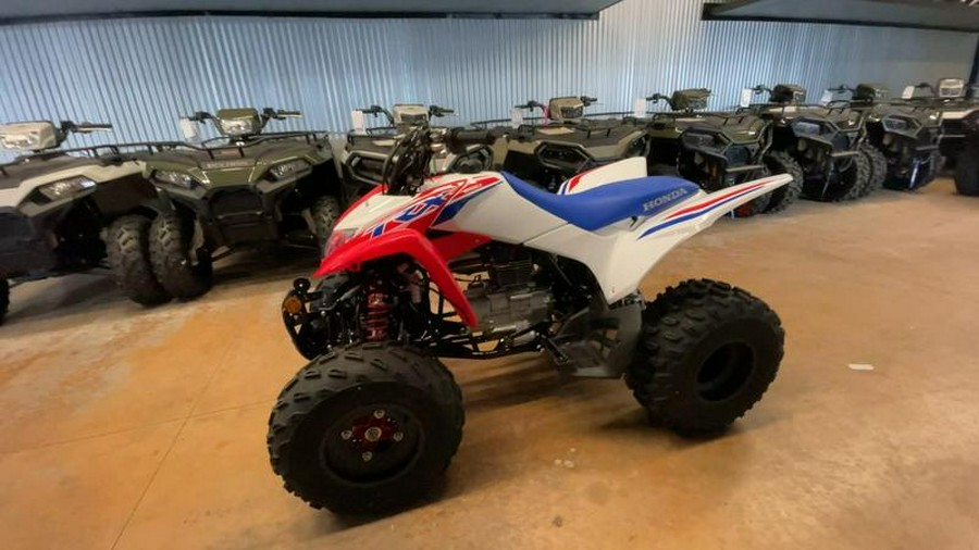 2026 Honda® TRX250X