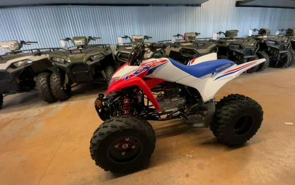 2026 Honda® TRX250X
