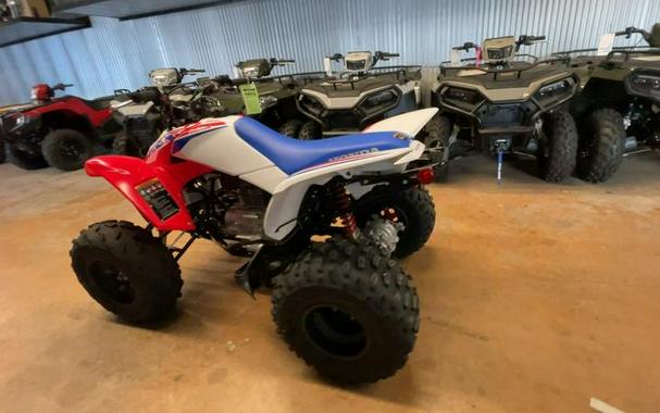 2026 Honda® TRX250X