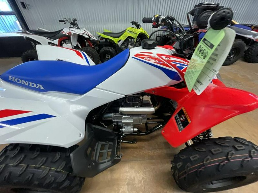 2026 Honda® TRX250X