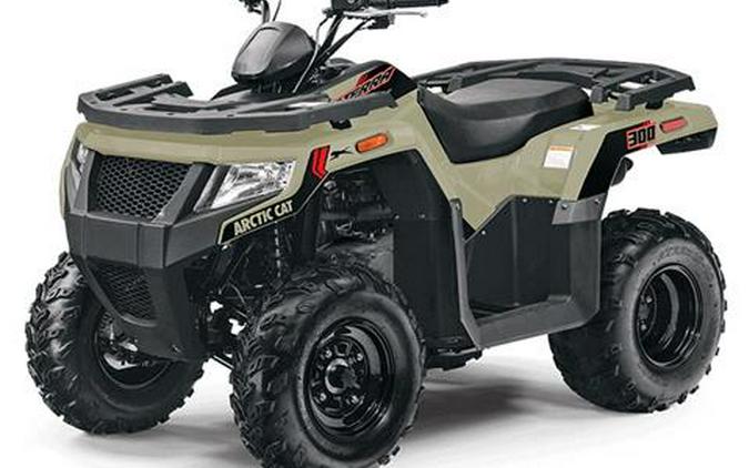 2024 Arctic Cat Alterra 300