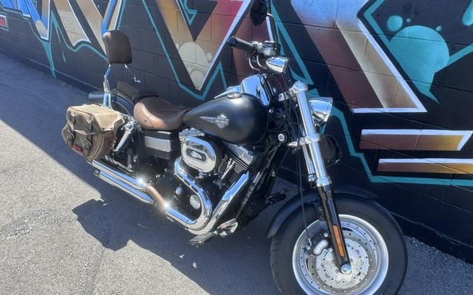2010 Harley-Davidson Dyna® Fat Bob®
