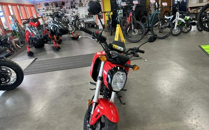 2022 Honda Grom Review (A Dozen Fast Facts From Alabama)