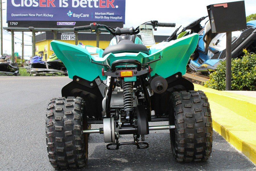 2025 Yamaha Raptor 110 / YFM01RYXSG