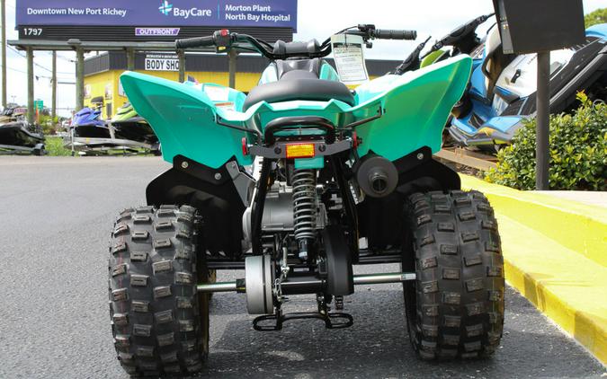 2025 Yamaha Raptor 110 / YFM01RYXSG