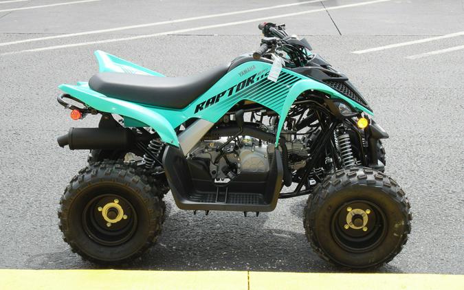 2025 Yamaha Raptor 110 / YFM01RYXSG