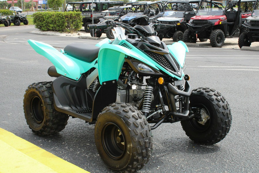 2025 Yamaha Raptor 110 / YFM01RYXSG