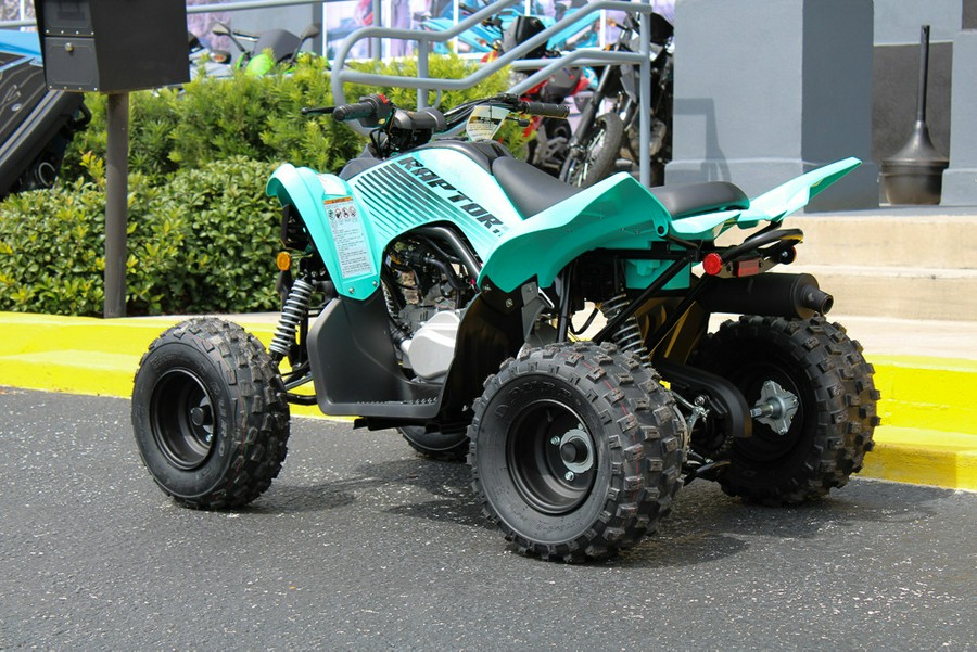 2025 Yamaha Raptor 110 / YFM01RYXSG