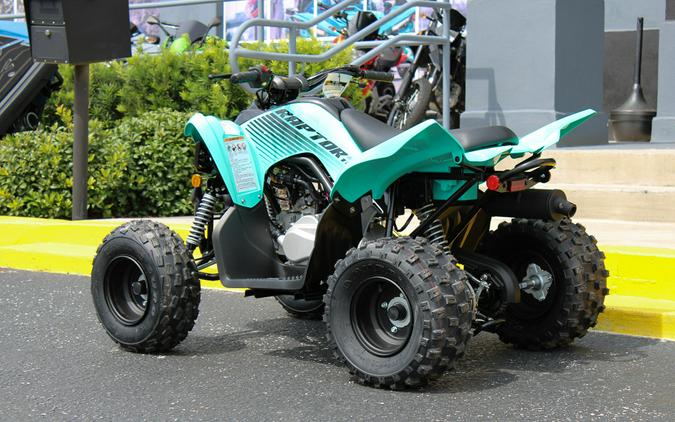 2025 Yamaha Raptor 110 / YFM01RYXSG