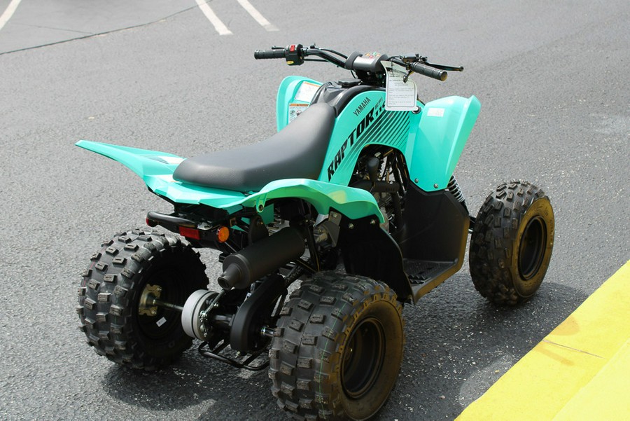 2025 Yamaha Raptor 110 / YFM01RYXSG