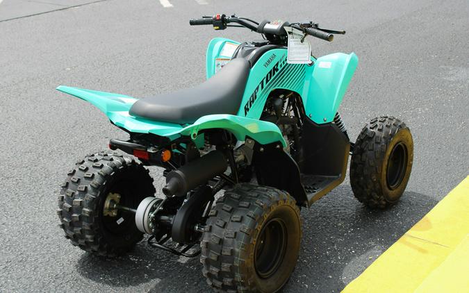 2025 Yamaha Raptor 110 / YFM01RYXSG