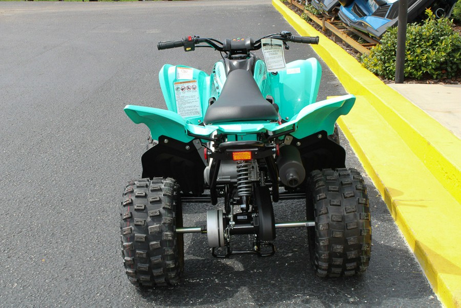 2025 Yamaha Raptor 110 / YFM01RYXSG