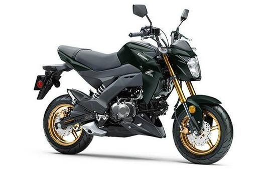 2025 Kawasaki Z125 PRO