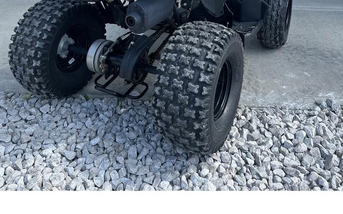 2023 Outlaw® 110 EFI - Polaris