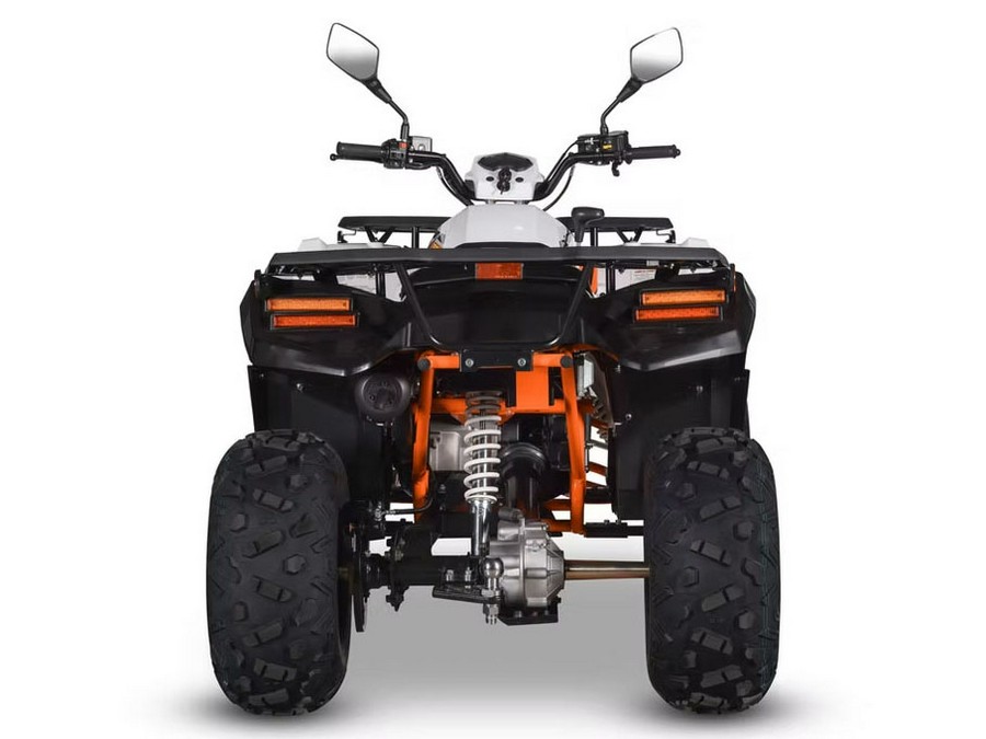 2026 Kayo Bull 300 EFI