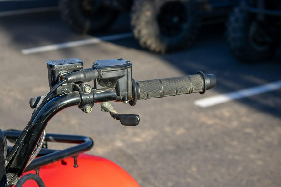 2020 KAWASAKI BRUTE FORCE 300