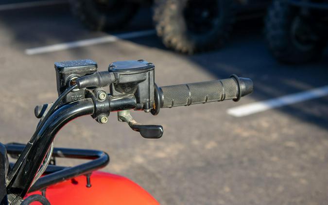 2020 KAWASAKI BRUTE FORCE 300