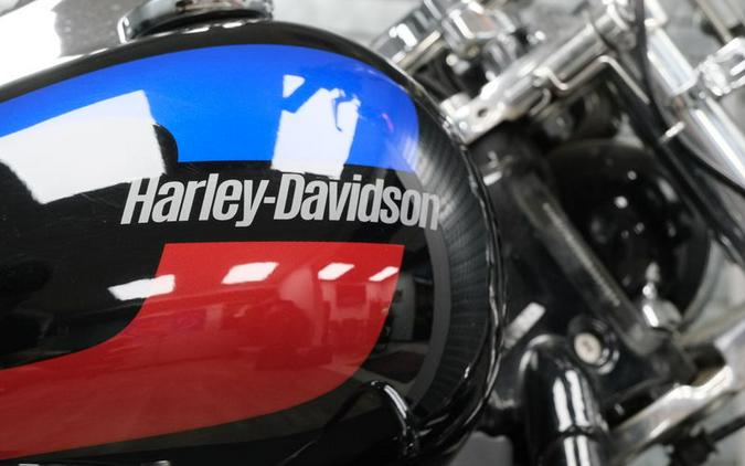 Used 2019 HARLEY SOFTAIL LOW RIDER