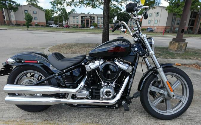 2024 Harley-Davidson Softail Standard FXST