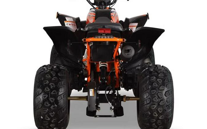 2026 Kayo Storm 150 EFI