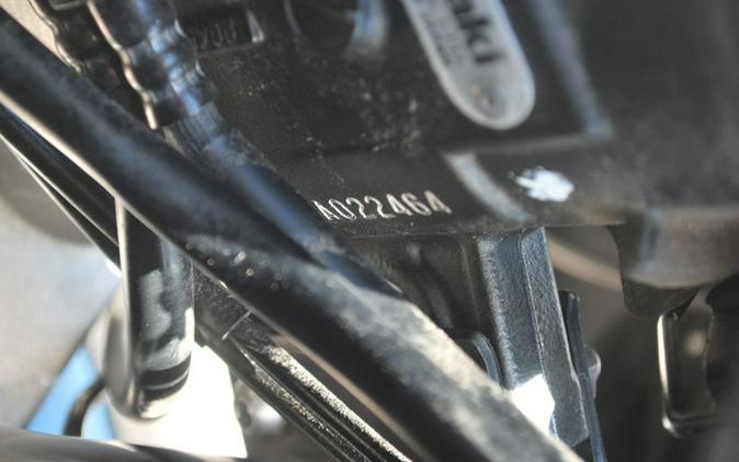 2019 Kawasaki Ninja 1000 ABS