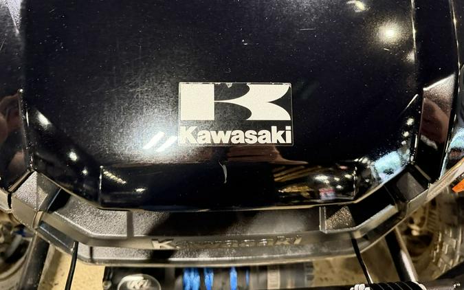 2020 Kawasaki TERXY 4 LE