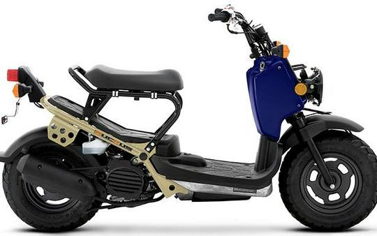 2023 RUCKUS - Honda