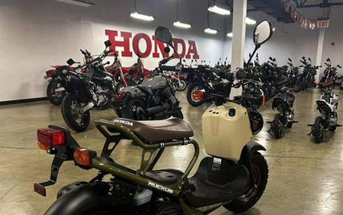 2024 Honda RUCKUS NPS50R