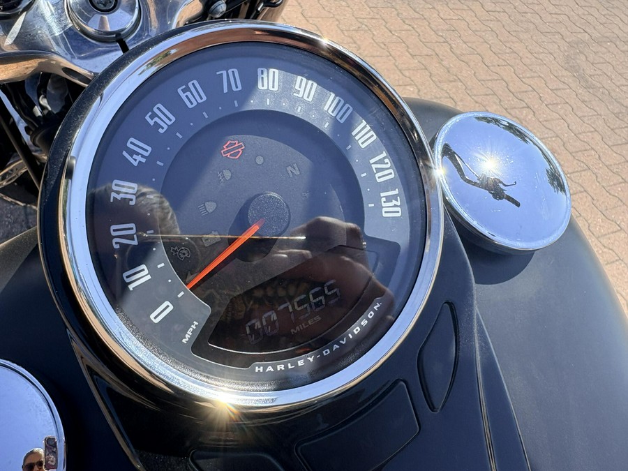 FLS 2018 Softail Slim®