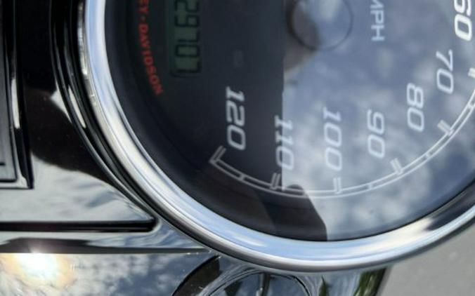 2019 Harley-Davidson Road King® Special