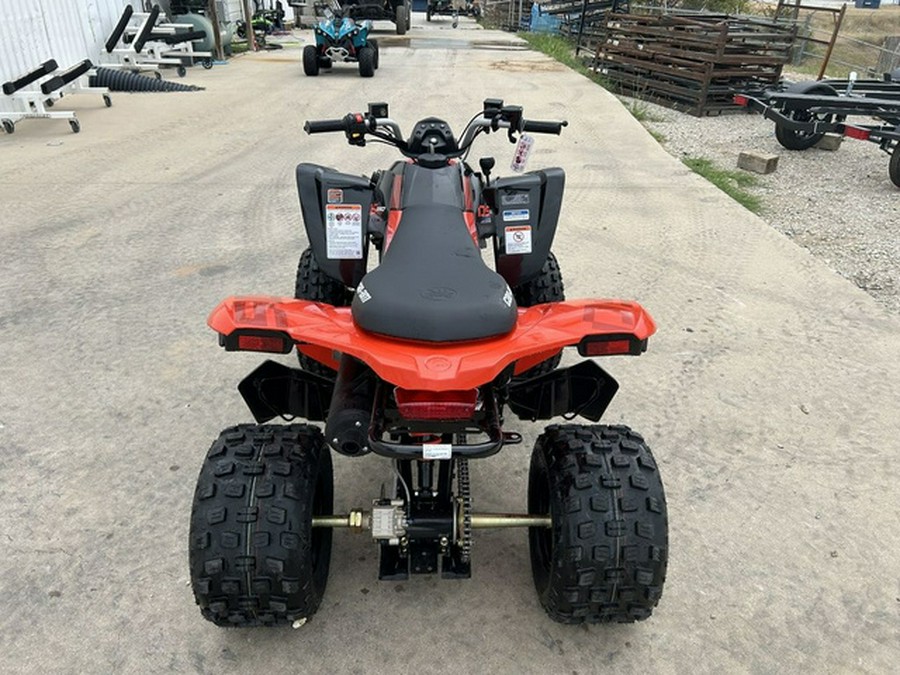 2026 Can-Am DS 250