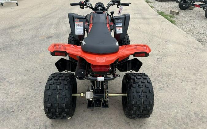 2026 Can-Am DS 250